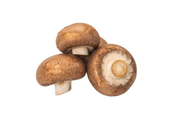Tasty mushroom isolated on white background.