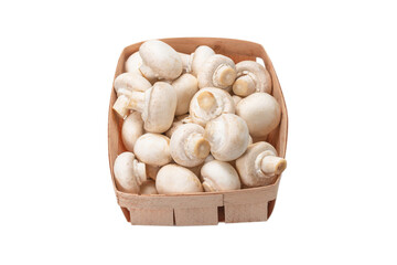 Champignon mushroom isolated on white background.