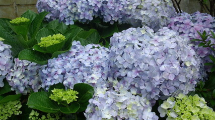 GEDSC DIGITAL CAMERA.