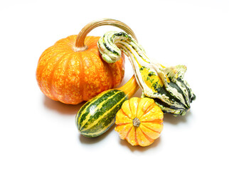Autumn still life with sparkler pumpkin and decorative gourds isolated on white
