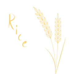 Rice logo design. Wheat symbol.