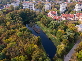 aerial view of autumn park with lake