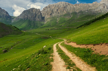 Fototapeta na wymiar Beautiful summer landscape with country road in Caucasus Mountains, Republic of Ingushetia, Russia