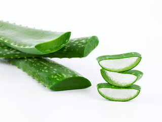 Aloe vera fresh wet leaves and slices
