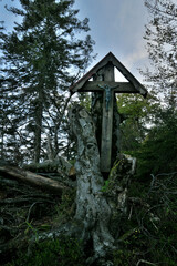 Ein altes Kruzifix, das in einem alten Baum steht