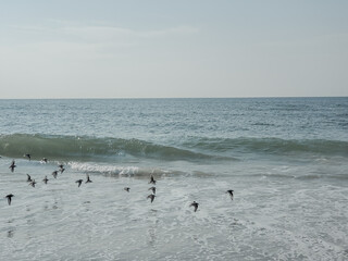 City Beach, Rockaway beach, quiet and empty ocean with a peaceful glow in the background. New York