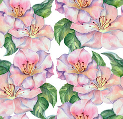 Spring flowers painting in watercolor. Seamless pattern on white background.