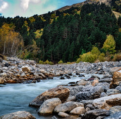 mountain river in wild forest