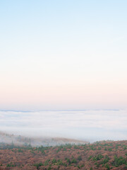 Fototapeta premium Fog covering the forest below you on an autumn morning on Mount Wachusett in Massachusetts.