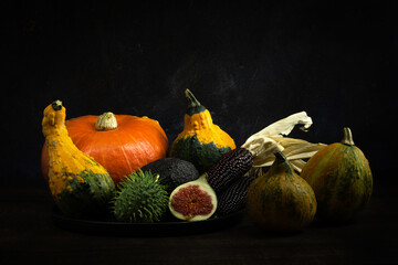 Autumn composition with different types of pumpkins, a black corn on the cob, and an avocado. Dark food photography and light painting technique