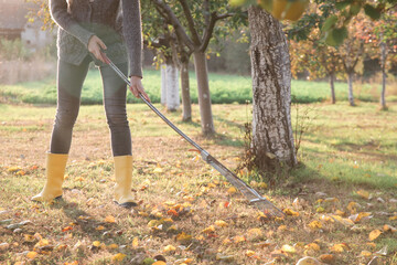 Gardener woman in yellow rubber boots raking up dry autumn leaves in garden. Autumnal work in garden.