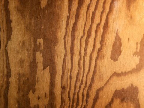 texture of wood