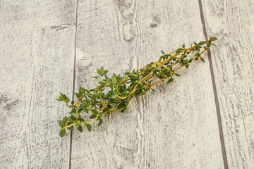 Aroma Fresh green thyme branch