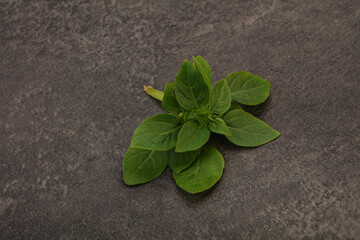 Aroma seasoning - Green Basil leaves