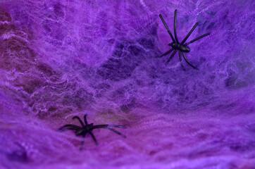 A black spider crawls on a purple web and an orange pumpkin on a lilac background. Halloween. Card.