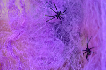 A black spider crawls on a purple web and an orange pumpkin on a lilac background. Halloween. Card.