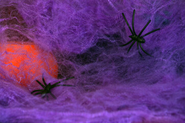A black spider crawls on a purple web and an orange pumpkin on a lilac background. Halloween. Card.