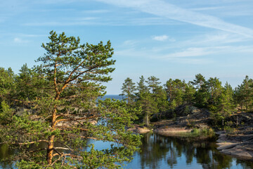 beautiful landscape of green, natural trees, plants, stones on an island surrounded by a natural reservoir, lake against a blue sky in Karelia, Russia