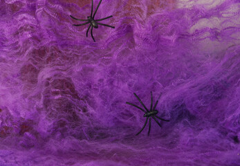 A black spider crawls on a purple web and an orange pumpkin on a lilac background. Halloween. Card.