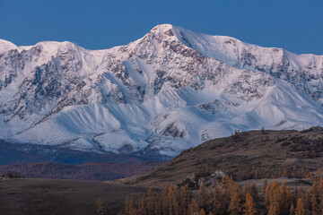 Fototapeta na wymiar Beautiful shot of a white snowy mountain and hills with trees in the foreground. Fall time. Sunrise. Blue hour. Altai mountains, Russia