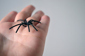Black spiders on a female hand. Horror, fear, Halloween.