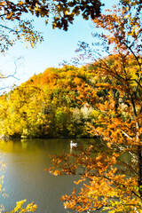 Obraz na płótnie Canvas Autumn at Bystrzyckie lake