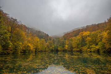 Fototapeta na wymiar Beautiful dramatic view of autumn forest over clouds and fog. Fall season nature landscape, amazing colors, orange yellow golden leaves. Dream autumn nature scenery calm lake water reflection, foliage