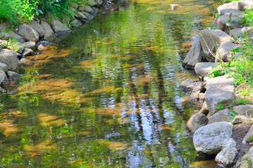 公園の小川