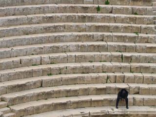 Meditando o descansando en los escalones del anfiteatro de jerash en jordania