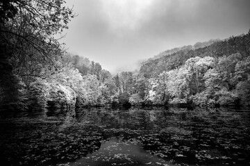 Black and white landscape with autumn trees  in foggy misty view over calm lake. Dramatic mountain lake reflection, leaves and cloudy sky.  Artistic nature landscape, national park scenery