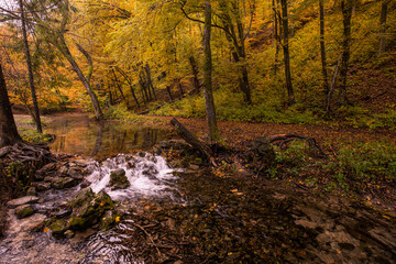 Autumn forest creek landscape. Seasonal fall nature, yellow golden leaves with calm relaxing mountain river. Trees and colorful leaves, relaxing nature landscape, fall season