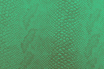 background texture of bright green snake skin