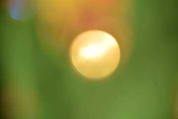 Green and Golden Yellow Color Gradient Background