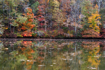 Autumn colors reflecting in a lake.
