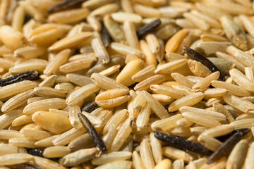 Raw Dry Organic Wild Rice