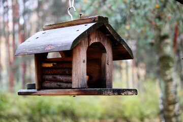 wooden bird house