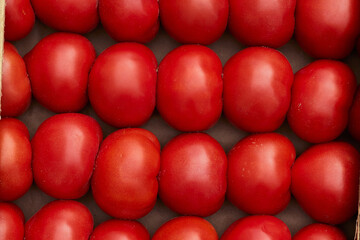 vegetables red ripe tomatoes on the background