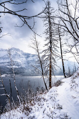 Waterton Lakes National Park after a snowfall along the Bertha Falls hiking trail.
