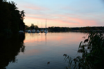 Abend am Schwielochsee