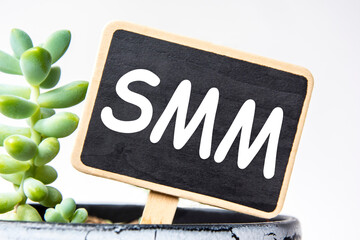 small black chalk board in a pot with succulents inscribed in white letters word SMM System...