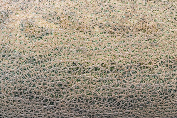 abstract background of green melon texture