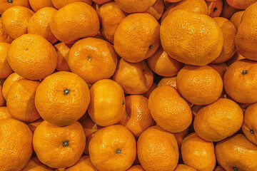fresh juicy tangerines on the market