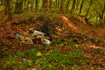 Naklejka na ściany i meble garbage scattered in the woods