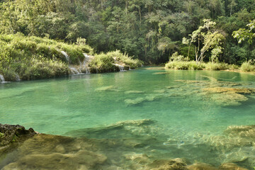 Cristal clear water in Semuc Champey cascade river