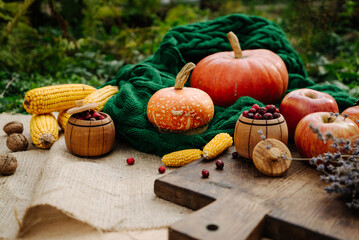 autumn harvest, corn, apples, lavender, large orange pumpkin, nuts on a green knitted scarf