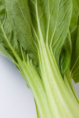 Obraz premium チンゲン菜