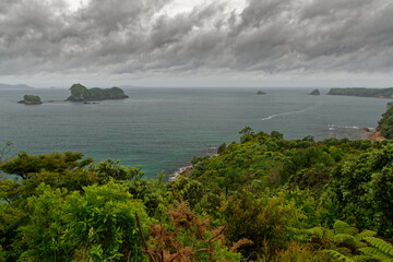 NP Coromandel - Coromandel Peninsula on the North Island of New Zealand, Bay of Plenty, natural...
