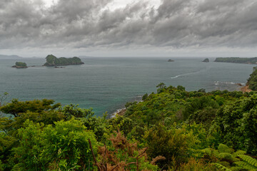 Fototapeta na wymiar NP Coromandel - Coromandel Peninsula on the North Island of New Zealand, Bay of Plenty, natural barrier protecting the Hauraki Gulf and the Firth of Thames. Natural landscape