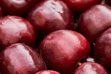 cherry ripe sweet viburnum cherry background