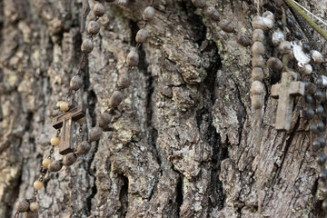 a rosary hung on a tree